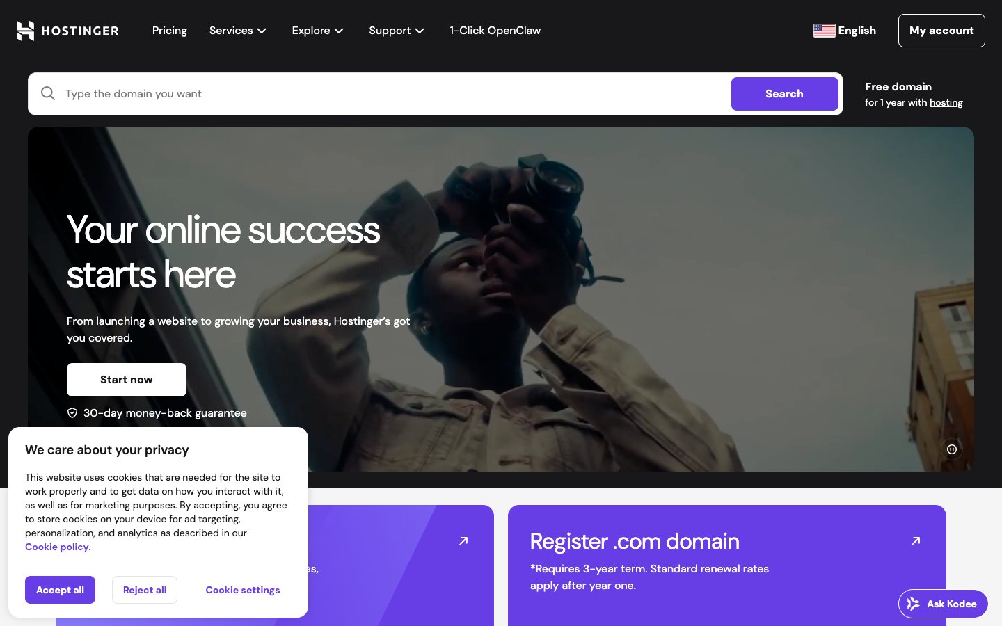 Hostinger Dashboard Screenshot