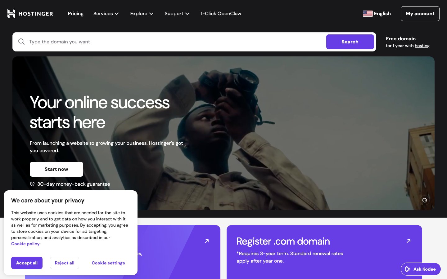 Hostinger Vps Dashboard Screenshot