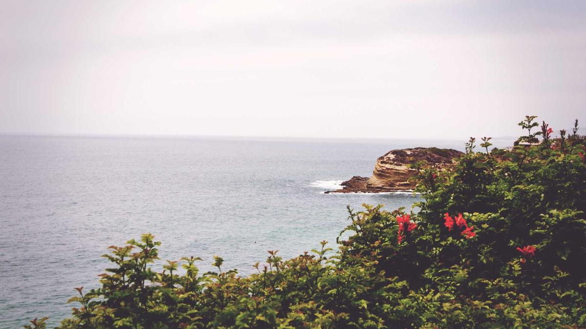 Visuelle Zusammenfassung: Eigentumswohnung kaufen 2026: Marktlage einordnen | Blog | CanGo App Empire