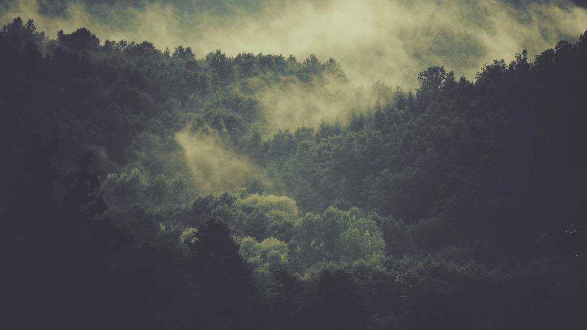 Visuelle Zusammenfassung: Solaranlage 2026: Investition &amp; Amortisation | Blog | CanGo App Empire