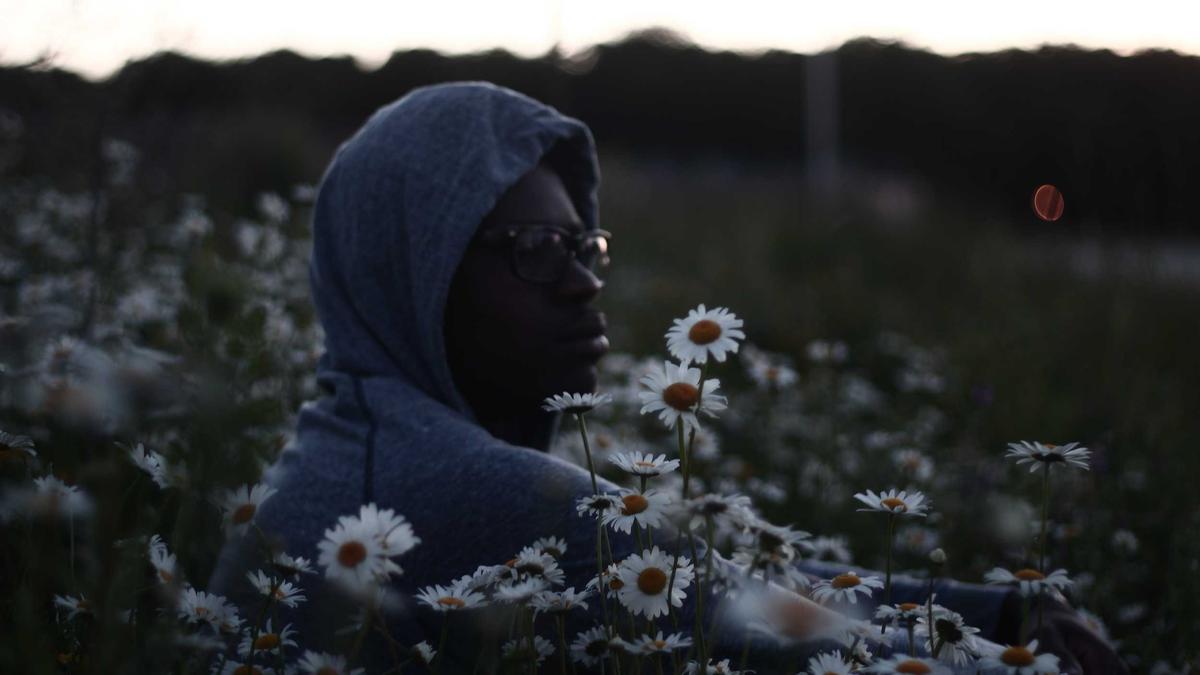 Visuelle Zusammenfassung: Trading-Automation: Dein Vorsprung durch Algorithmen. | Blog | CanGo App Empire