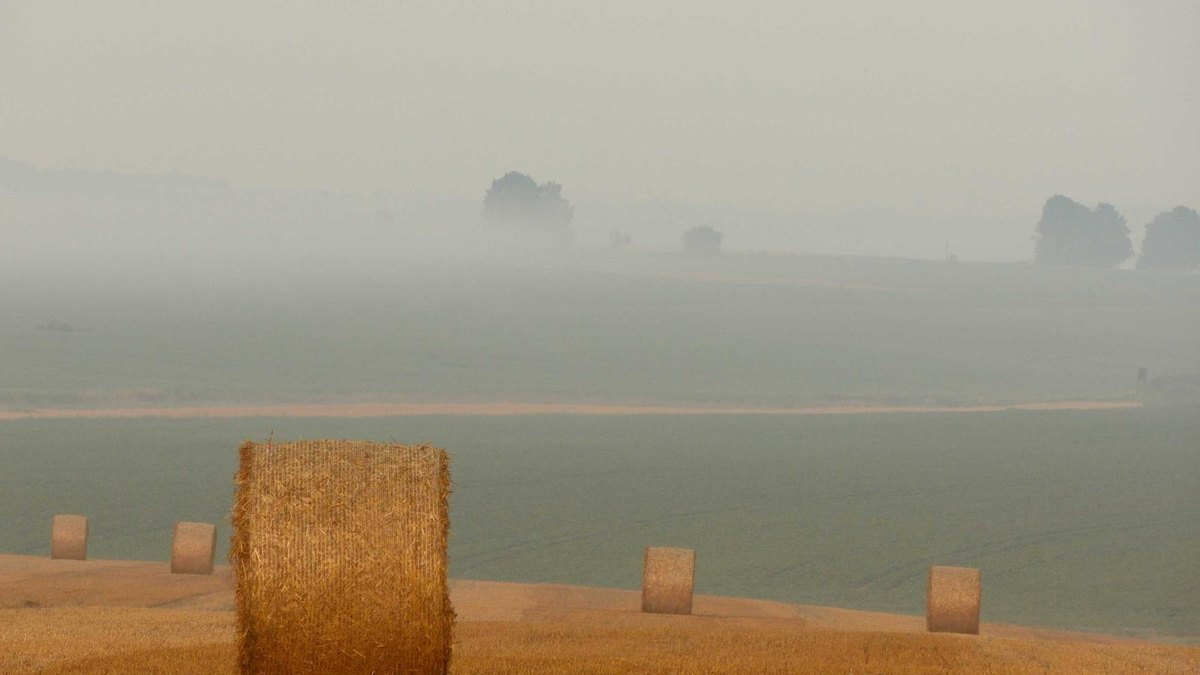 Visual zum Abschnitt: Retail vs. Institutionen