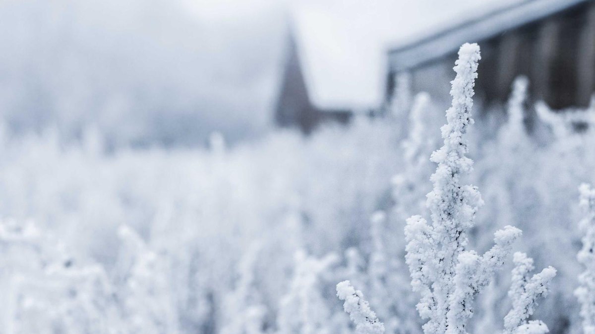 Visual zum Abschnitt: Roadmap: Pilot, Messen, Skalieren