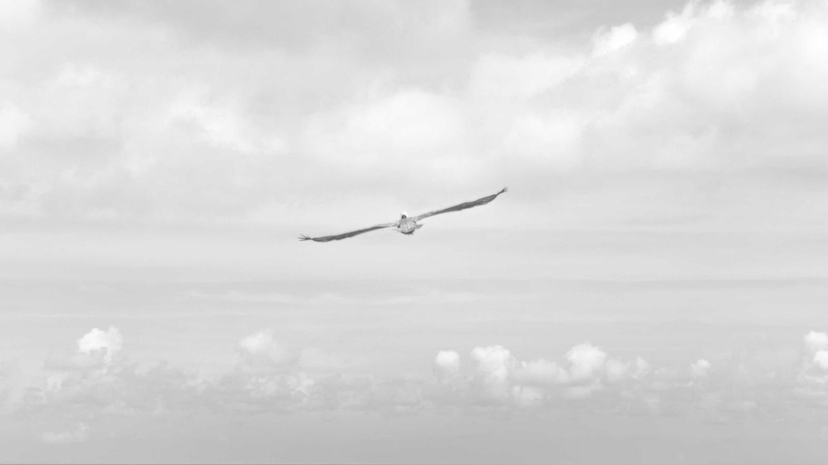 Visual zum Abschnitt: Integration mit n8n und internen Tools