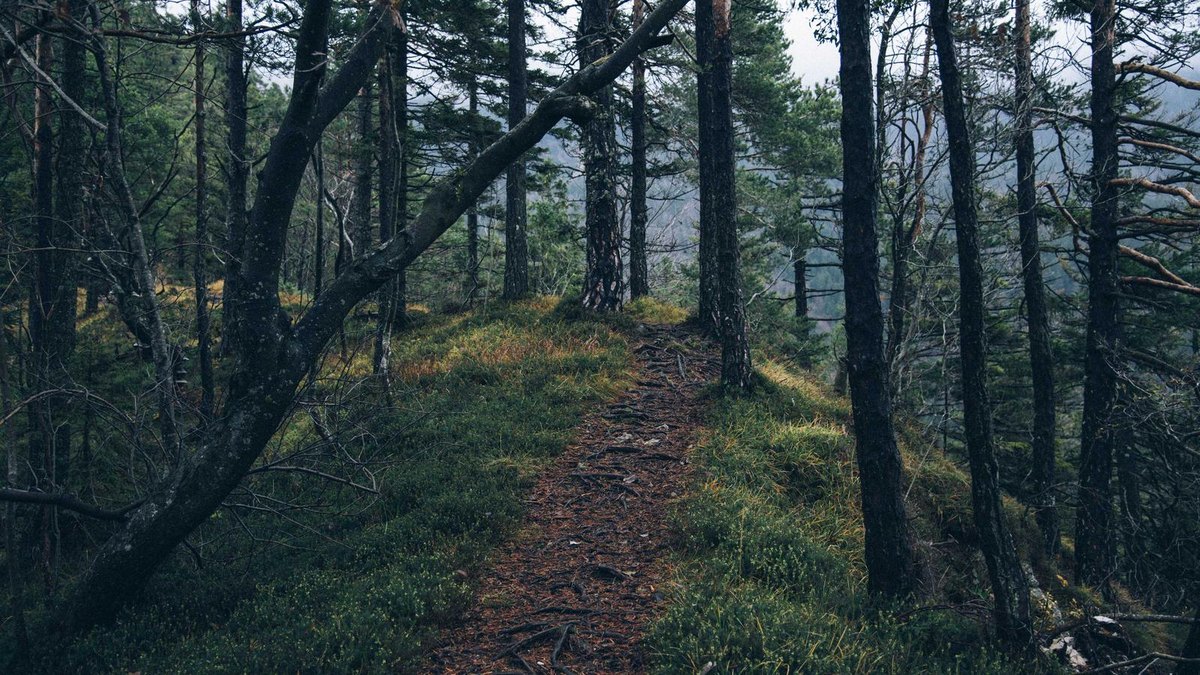 Visual zum Abschnitt: Zins- und Preisumfeld