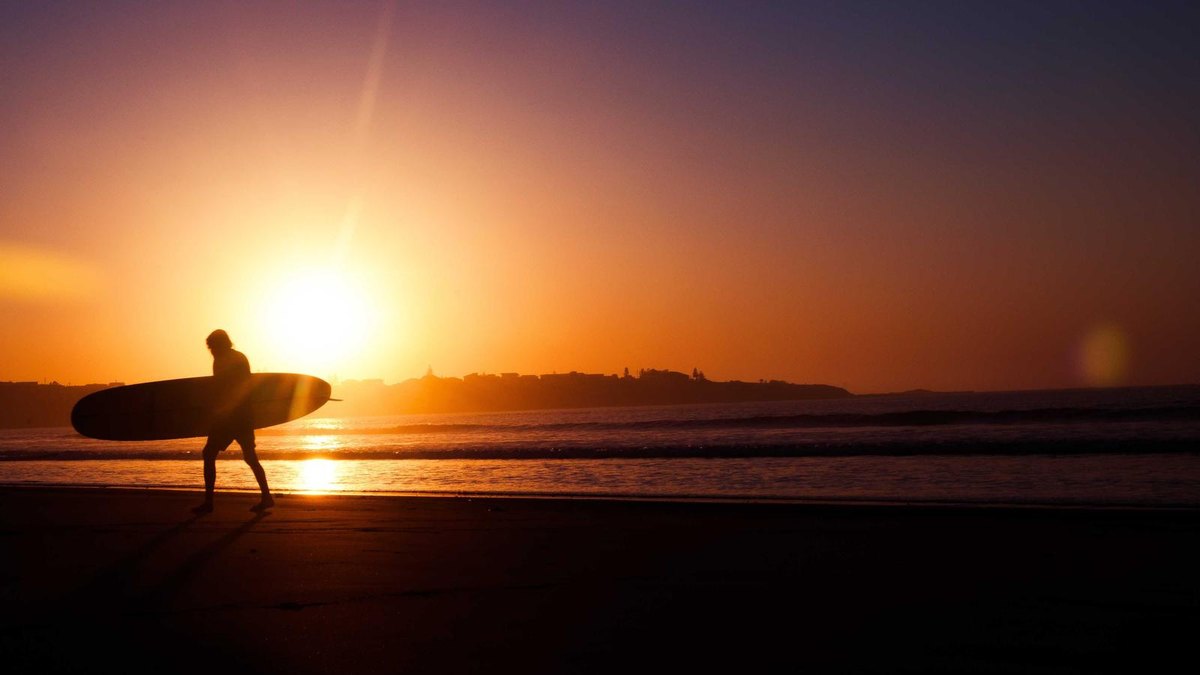 Visual zum Abschnitt: Technischer Zustand und Gutachten