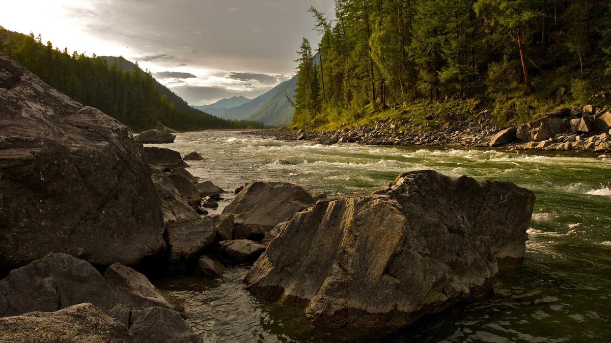 Visual zum Abschnitt: Lernen und Weiterbildung ohne Overload