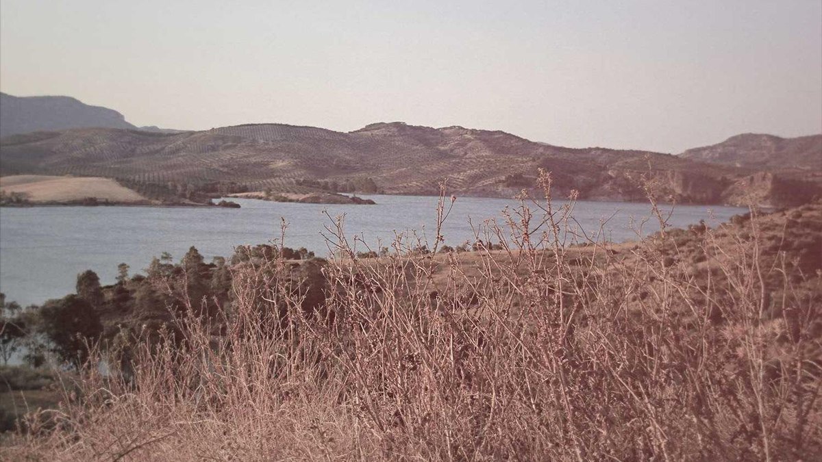 Visual zum Abschnitt: Teams einbinden ohne Mikromanagement