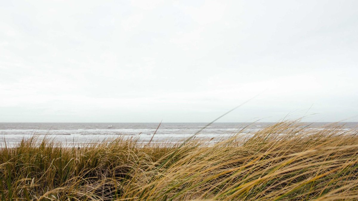 Visual zum Abschnitt: Typische Fehler in der Vorbereitung