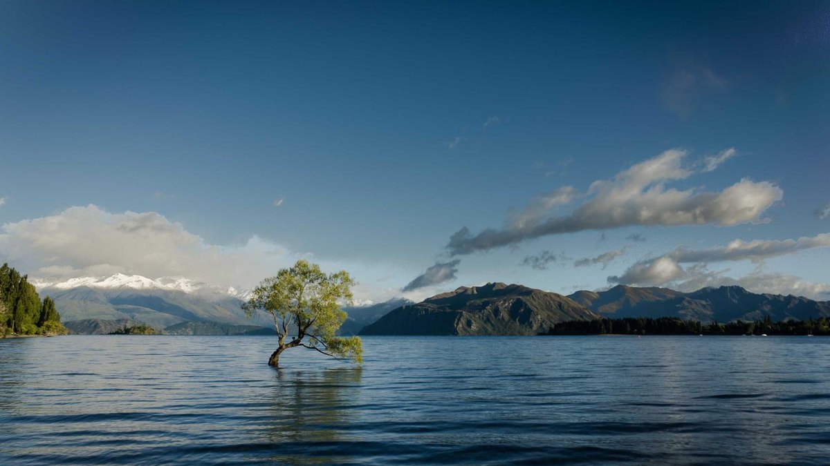 Visual zum Abschnitt: Content-Automation für Energie-Themen
