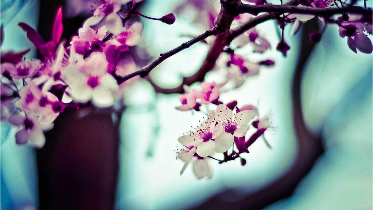 Visual zum Abschnitt: Content-Kalender und Sichtbarkeit ohne Daily-Burnout