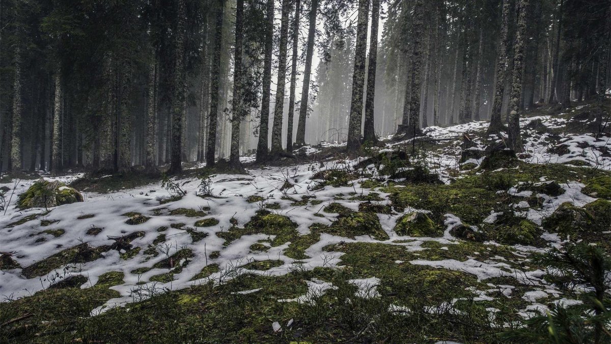 Visual zum Abschnitt: Community, Accountability und Skalierung