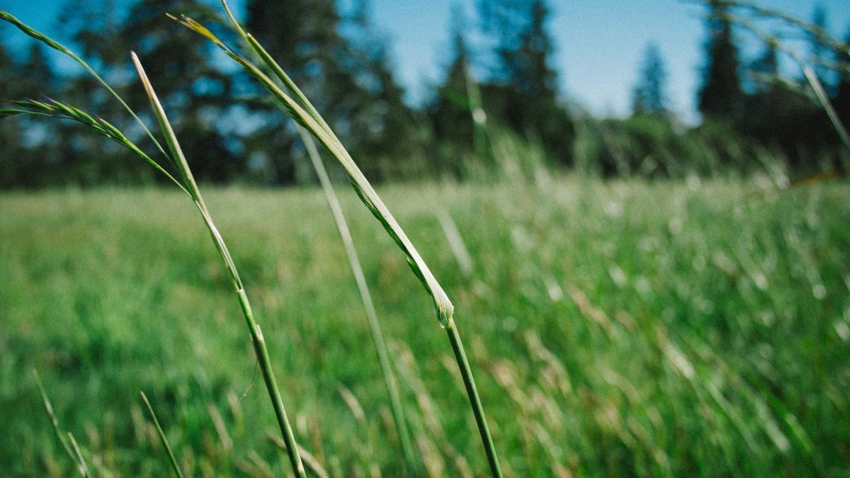 Visual zum Abschnitt: FAQ: Coaching-Business und digitale Skalierung