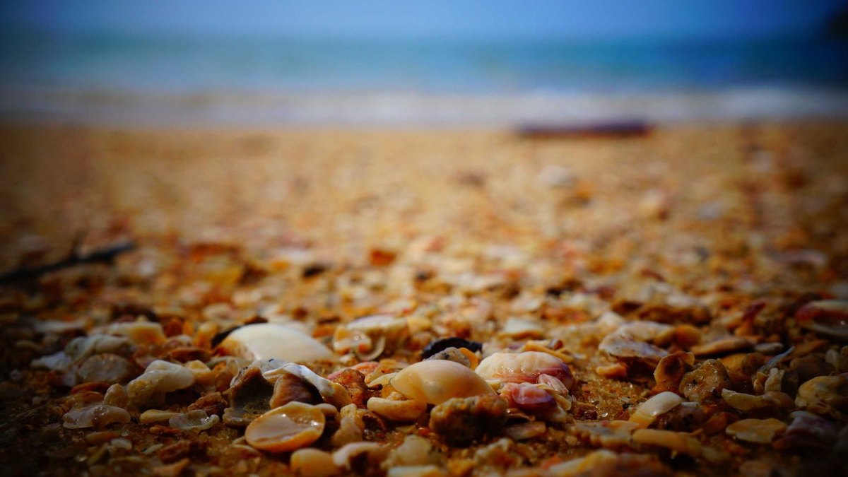 Visual zum Abschnitt: FAQ: Häufige Fragen zu Immobilien-Tools und -Automation