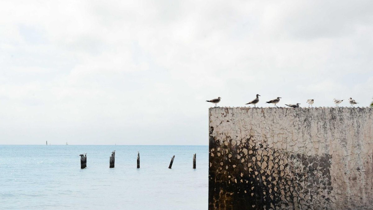 Visual zum Abschnitt: Custom GPTs und KI-Agenten: Die nächste Stufe