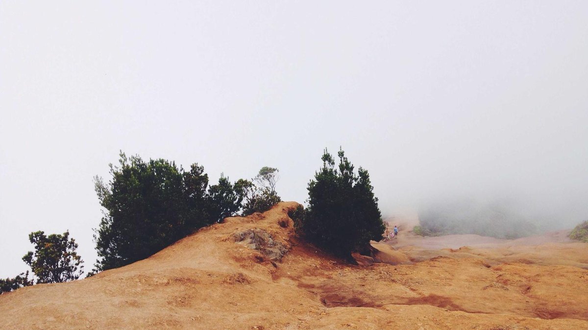 Visual zum Abschnitt: Warum Automation im Trading den Unterschied macht