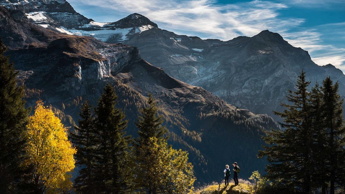 Visual zum Abschnitt: Signal-Pipelines: Von der Analyse zur Ausführung